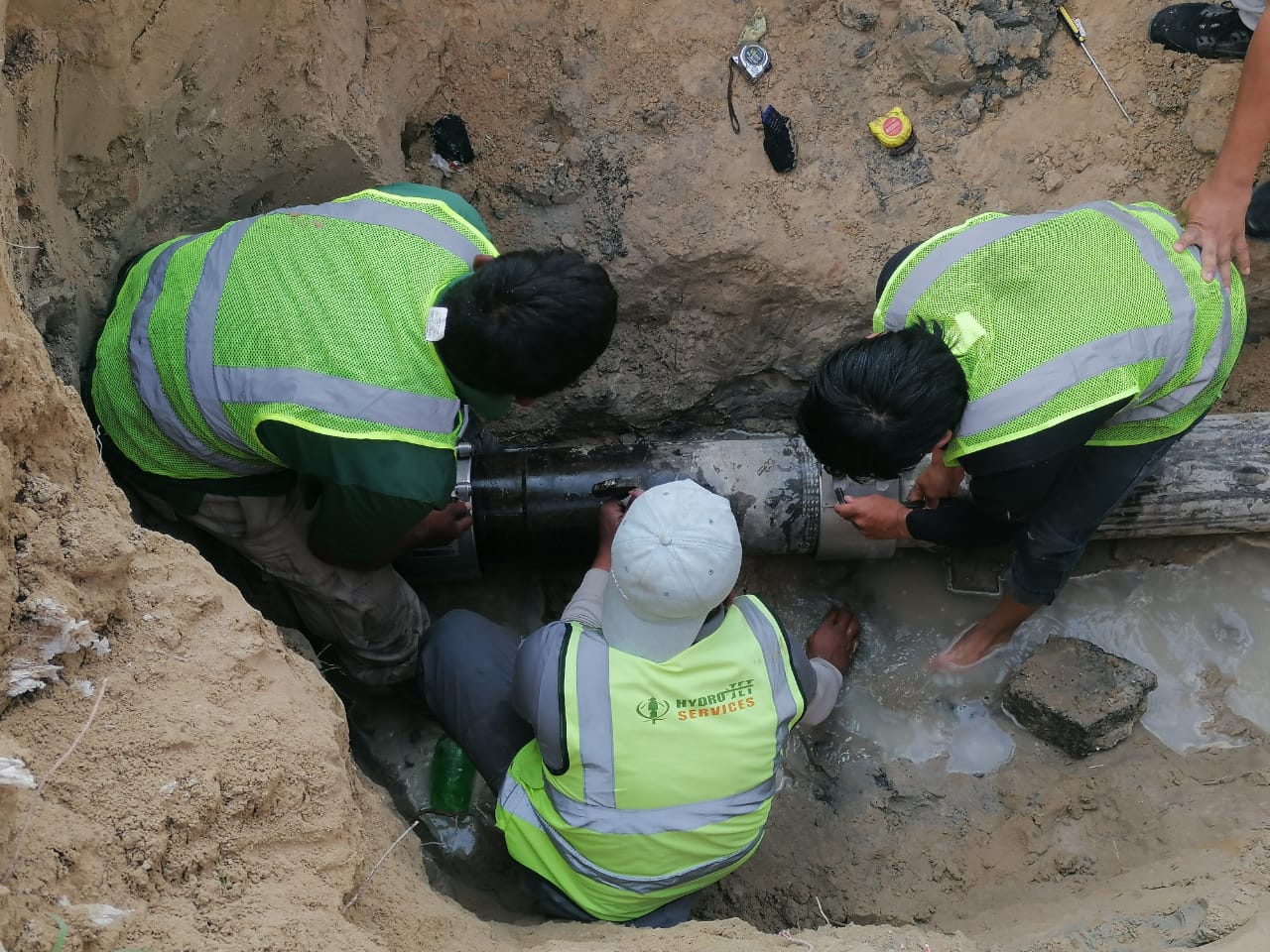 Inspection & Detection Services